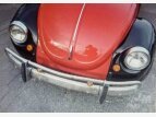 Thumbnail Photo 1 for 1973 Volkswagen Beetle